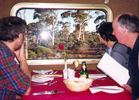 Indian Pacific - spotting Koala bears
