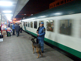 Cairo-Luxor-Aswan deluxe sleeper train