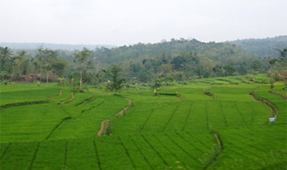 Scenery from the train in Indonesia