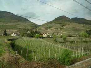Scenery (and vineyards!) on the Brenner route