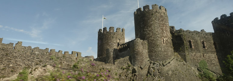 Conwy Castle, seen from the train to Dublin