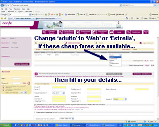 Buying Spanish train tickets at renfe.es.  Booking page.
