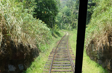 View back down the track
