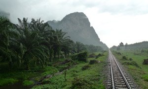 Take the train from Bangkok to Surat Thani. This scenery just north of Surat Thani.
