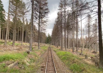 More Harz Railway scenery