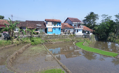 Village & rice paddies