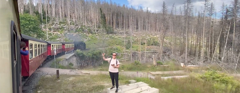 Scenery from the Brocken to Wernigerode train