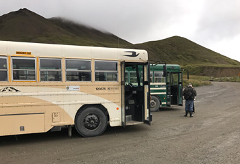 Denali National Park buses