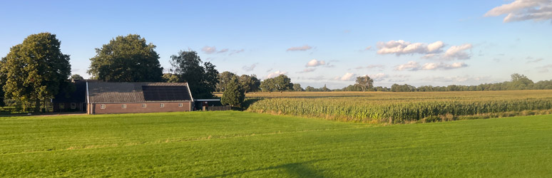 Dutch farmland