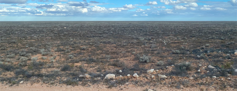 The Nullarbor Plain, seen from the Indian Pacific train