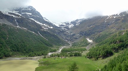 Alp Grum