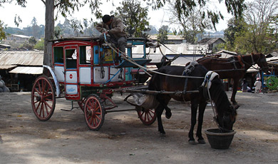 Horse-drawn carriage in Maymyo