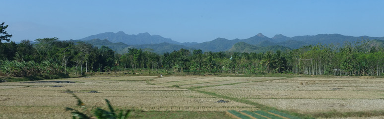 Scenery from the train