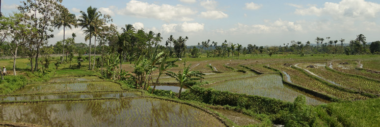 Great scenery from the train in eastern Java