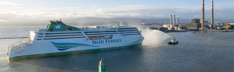 can you take dogs on the irish ferry