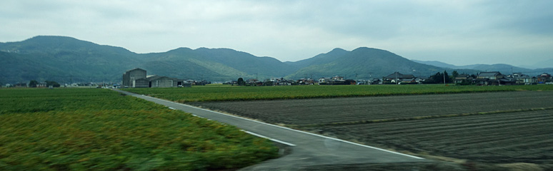 Scenery from the train