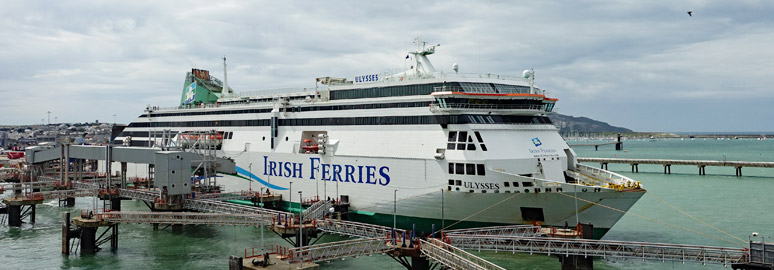 can you take dogs on the irish ferry