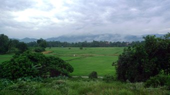 Scenery from the train between Kuala Lumpur & Butterworth (Penang)