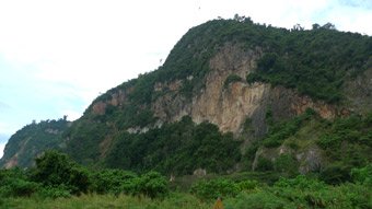 More scenery from the train between Kuala Lumpur & Butterworth (Penang)