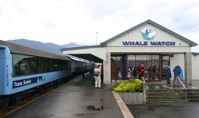 The Coastal Pacific train stops at Kaikoura...