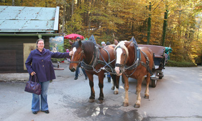 Horse & carriage from Hohenschwangau village up to Neuschwanstein castle