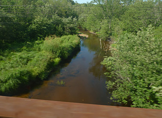 Forest and river