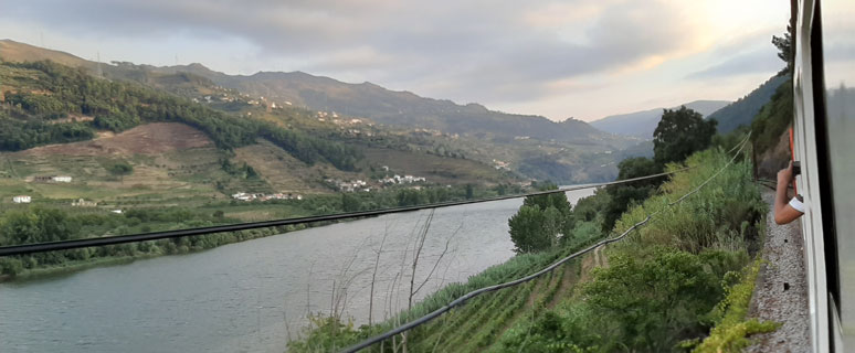 Douro Valley scenery from the train 