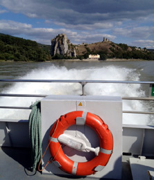 Scenery on the Danube from the Vienna-Bratislava twin City Liner