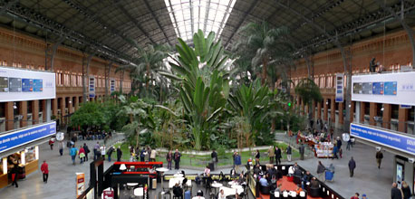 Madrid Atocha station - the tropical garden in the old trainshed