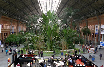 Nadrid Atocha station