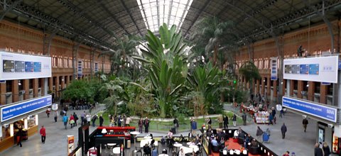 Madrid Atocha station - the tropical garden in the old trainshed