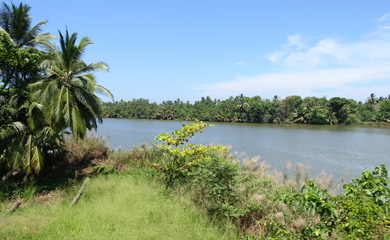 River estuary seen from a Colombo-Galle train