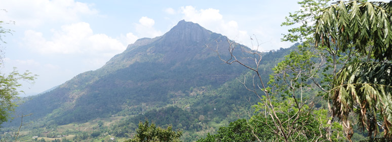 Mountain seen from the train