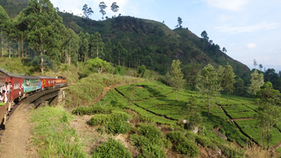 Train from Colombo to Tea Country on Sri Lanka Railways