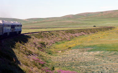 The train heads south from Ulan Bator