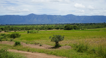 Scenery from Tazara train