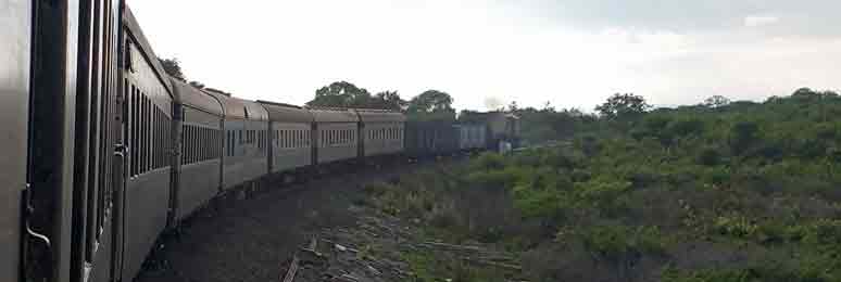 Zimbabwe. Victoria Falls. Steam train. Man looking out of window