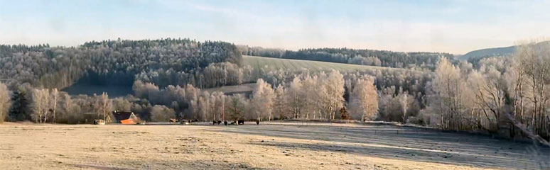 More frosty morning scenery from the Prague to Cheb train