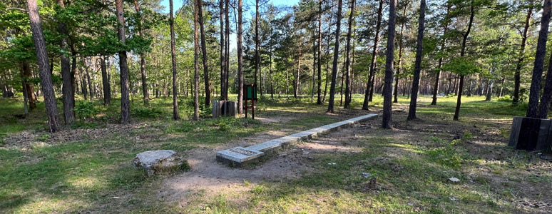 Entrance to Tunnel Harry, hut 104, Stalag Luft 3