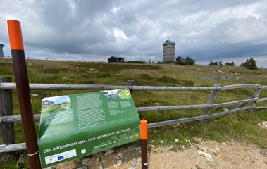 Brocken:  Botanic garden