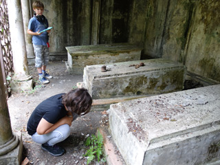 Dezentje graveyard at Ampell