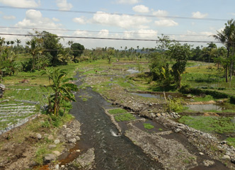 scenery from the train