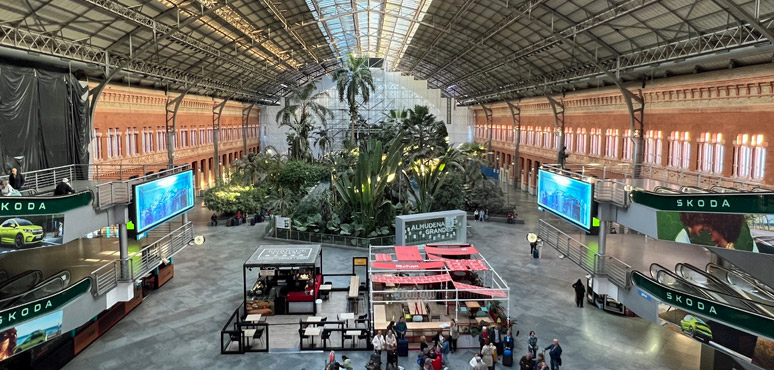 Madrid Atocha's old trainshed