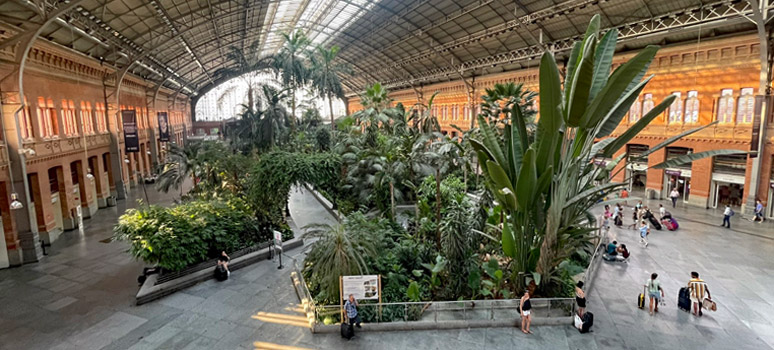 Madrid Atocha's old trainshed