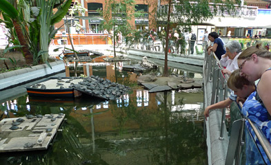 Turtle pool at Madrid Atocha station