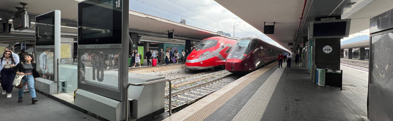 Naples Centrale platforms