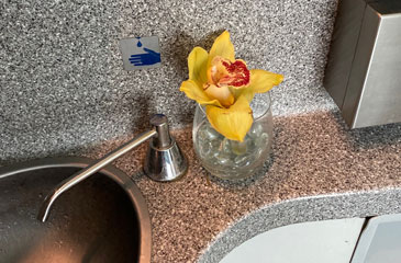 Orchid in the toilet on a Regiojet train