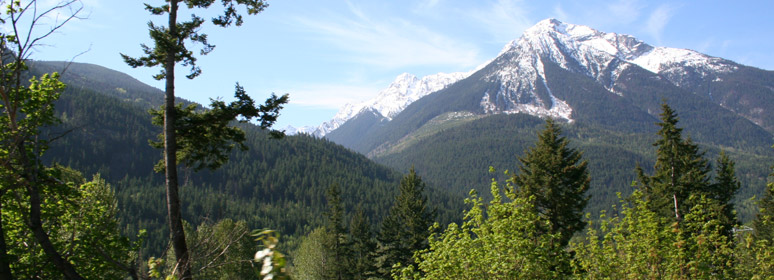 View after leaving Whistler