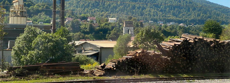 Pier of old Borovnica Viaduct, seen from a Trieste-Ljubljana train