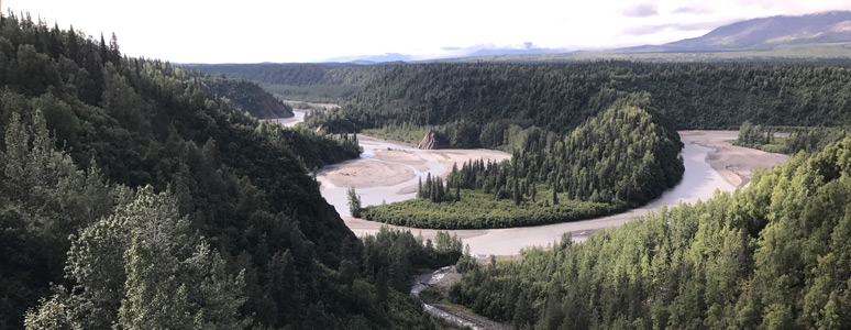 View as the train crosses the Hurricane Gulch bridge